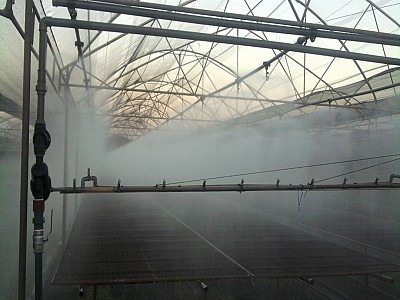 Sistema de riego foliar por microaspersión